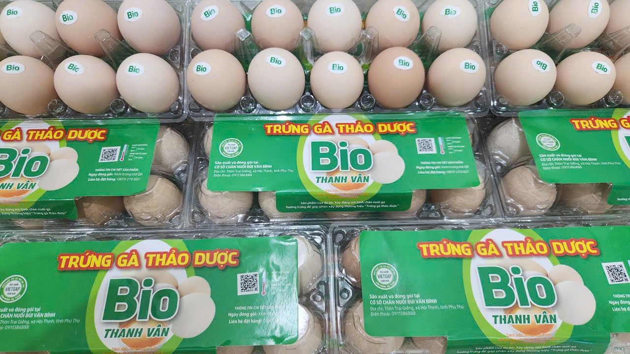 Trứng gà thảo dược